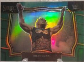 Billy Gunn [Green] #250