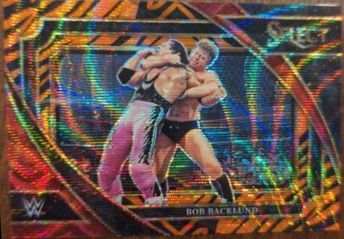 Bob Backlund [Tiger] #369
