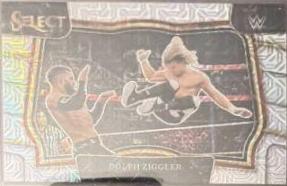 Dolph Ziggler [Mojo] #229