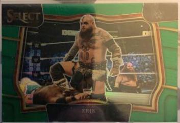 Erik [Green] #291