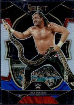 Jake Roberts [Black Blue] #69