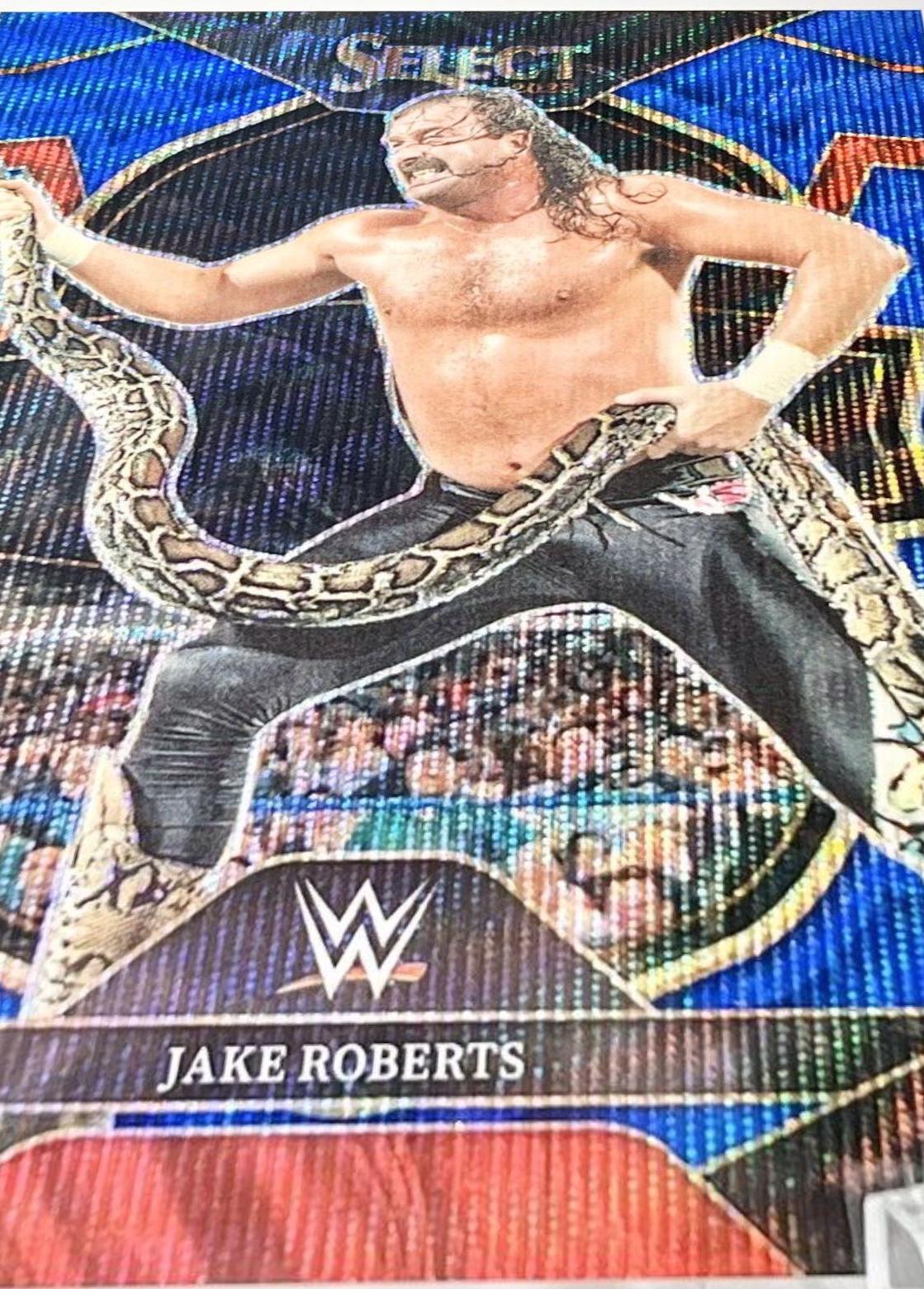 Jake Roberts [Blue Wave] #69