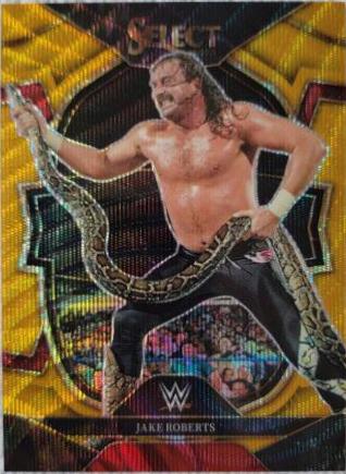 Jake Roberts [Gold Wave] #69