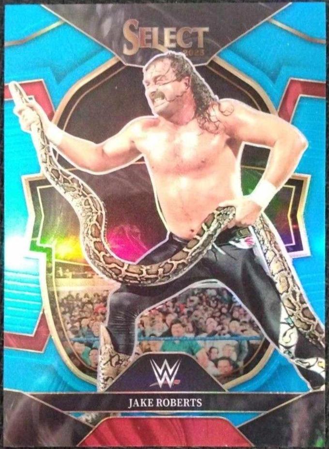 Jake Roberts [Light Blue] #69
