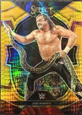 Jake Roberts [Lucky Envelopes] #69