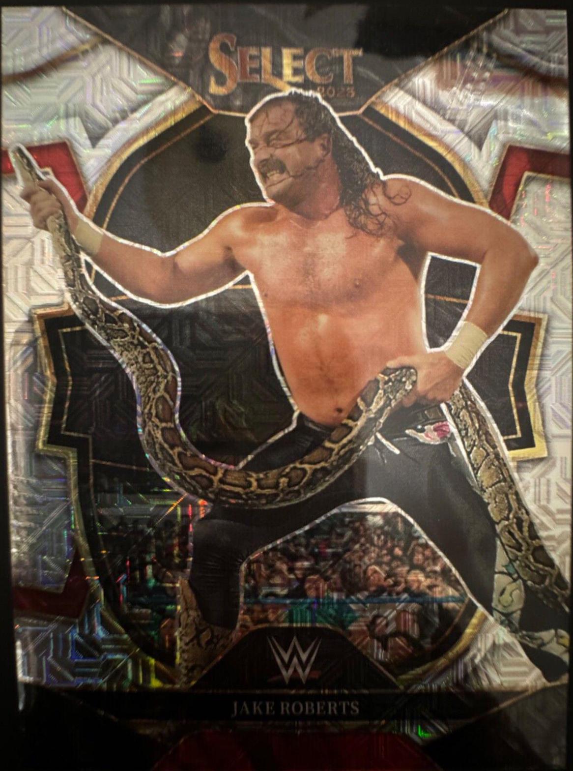 Jake Roberts [Mojo] #69