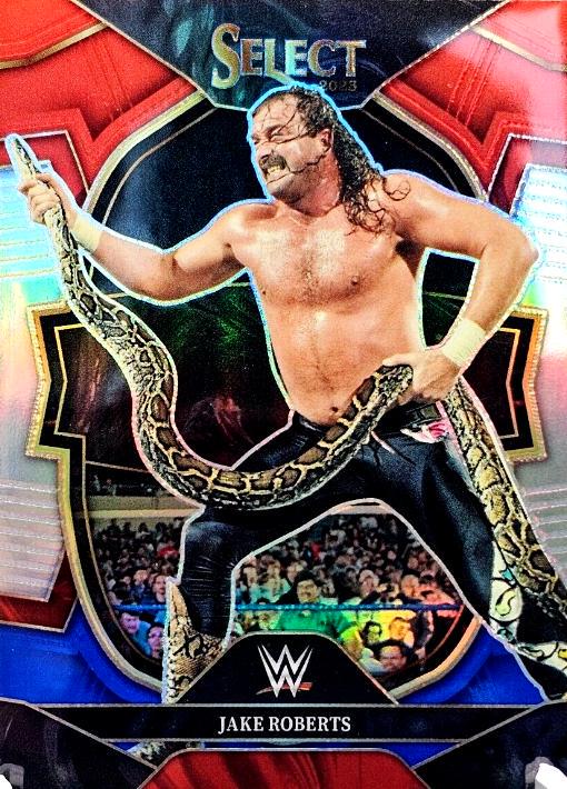 Jake Roberts [Red Blue] #69