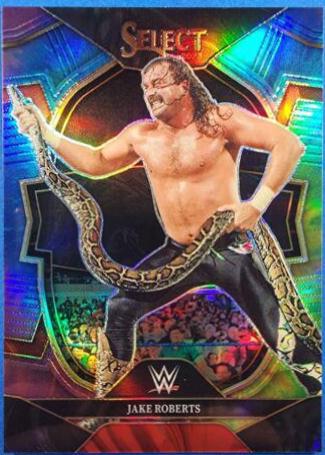 Jake Roberts [Tie-Dye] #69