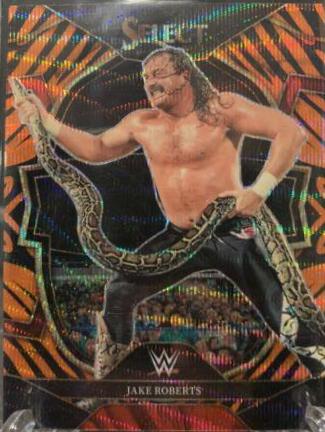 Jake Roberts [Tiger] #69
