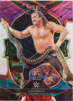 Jake Roberts [Tri-Color] #69