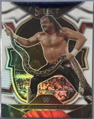 Jake Roberts [White] #69