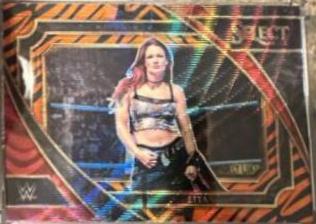 Lita [Tiger] #381