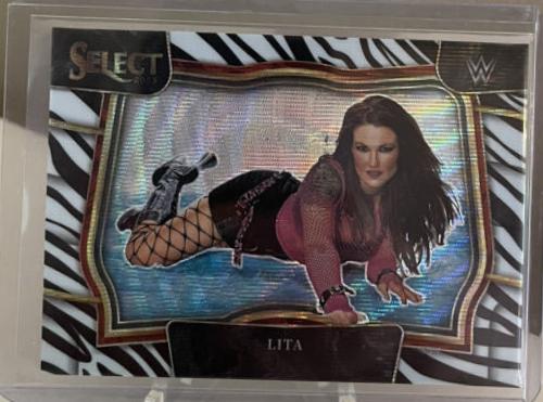 Lita [Zebra] #262