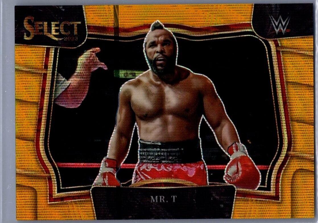 Mr. T [Gold Wave] #272
