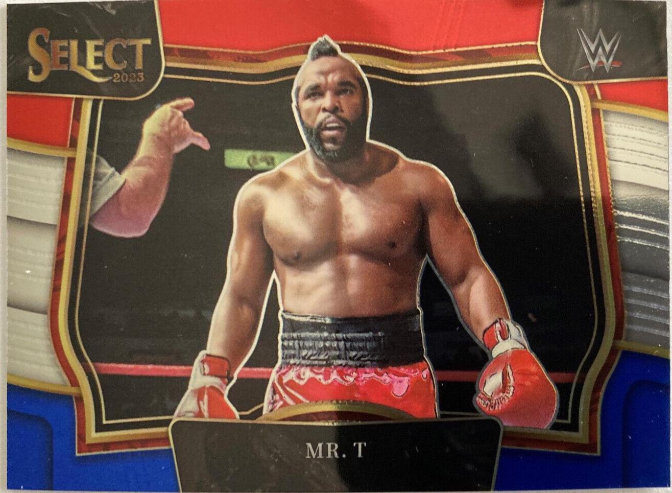 Mr. T [Red Blue] #272
