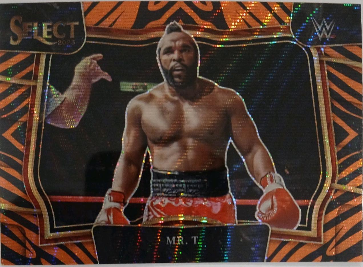 Mr. T [Tiger] #272