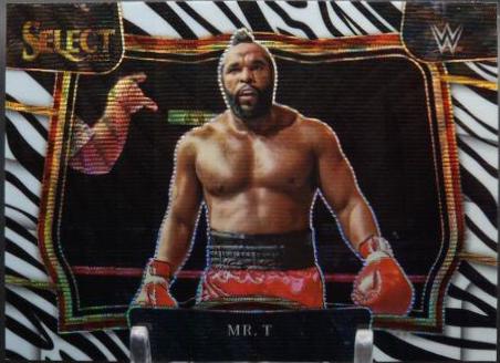 Mr. T [Zebra] #272
