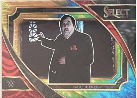 Paul Bearer [Tie-Dye] #313