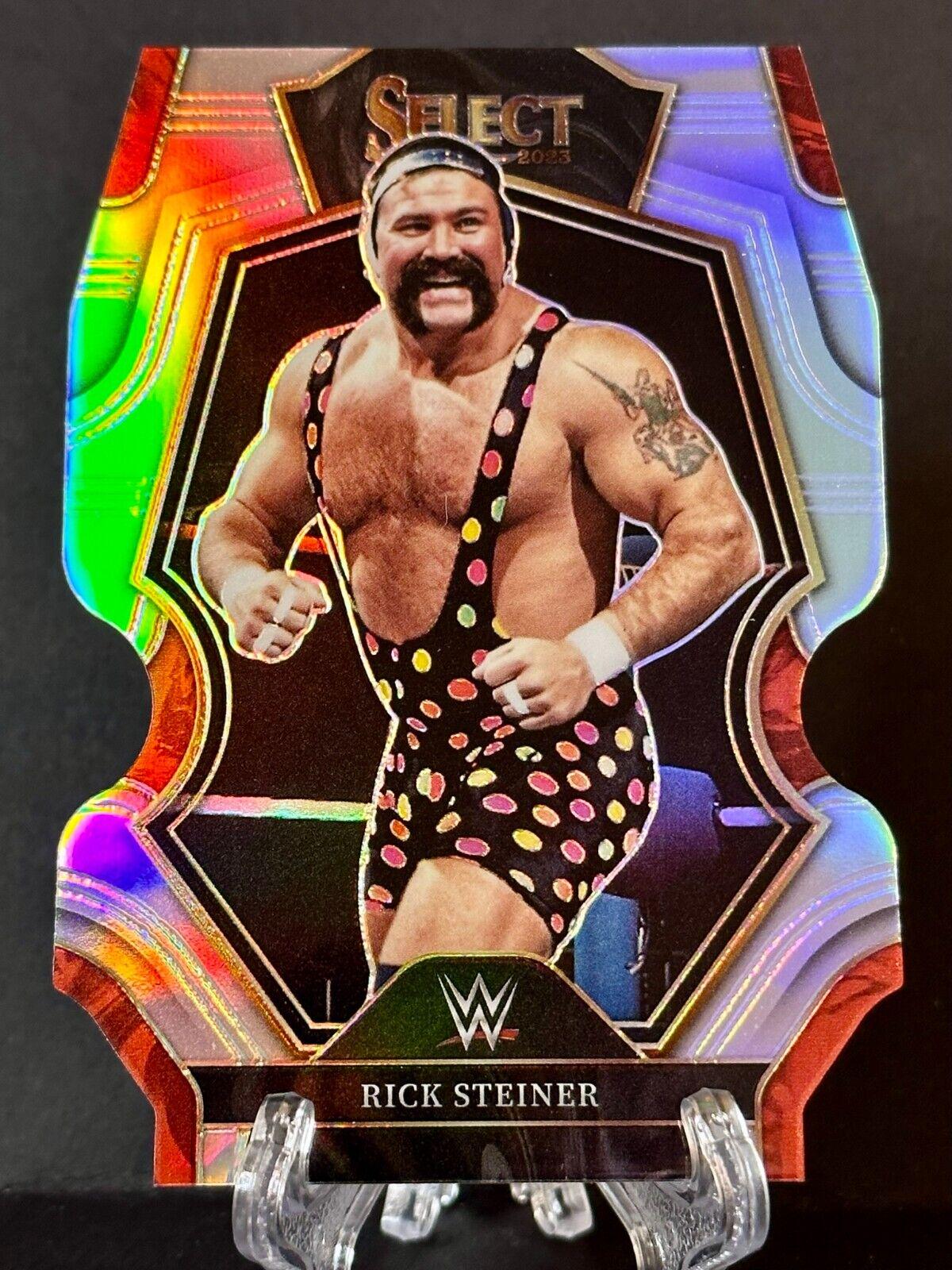 Rick Steiner [Silver Die-Cut] #170