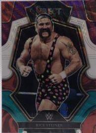 Rick Steiner [Tri-Color] #170