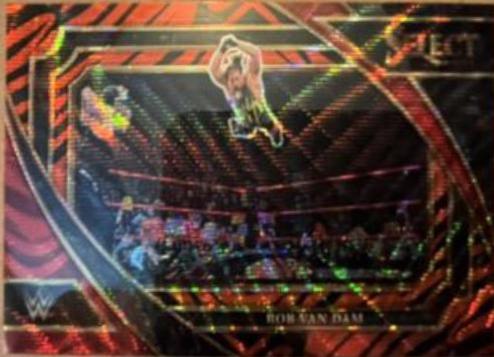 Rob Van Dam [Tiger] #323