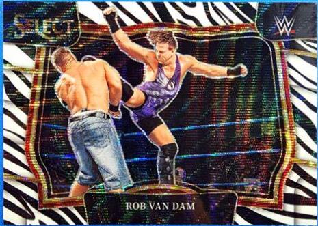 Rob Van Dam [Zebra] #204