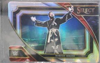 Robert Roode [Silver Die-Cut] #382