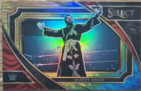 Robert Roode [Tie-Dye] #382