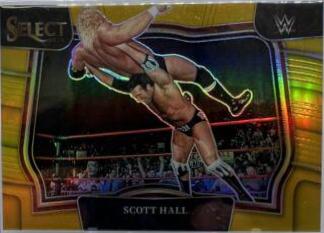 Scott Hall [Gold] #214