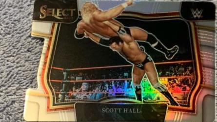 Scott Hall [Silver Die-Cut] #214