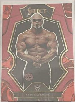 Scott Steiner [Maroon] #190