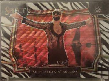 Seth 'Freakin' Rollins [Zebra] #231