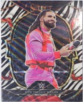 Seth 'Freakin' Rollins [Zebra] #50