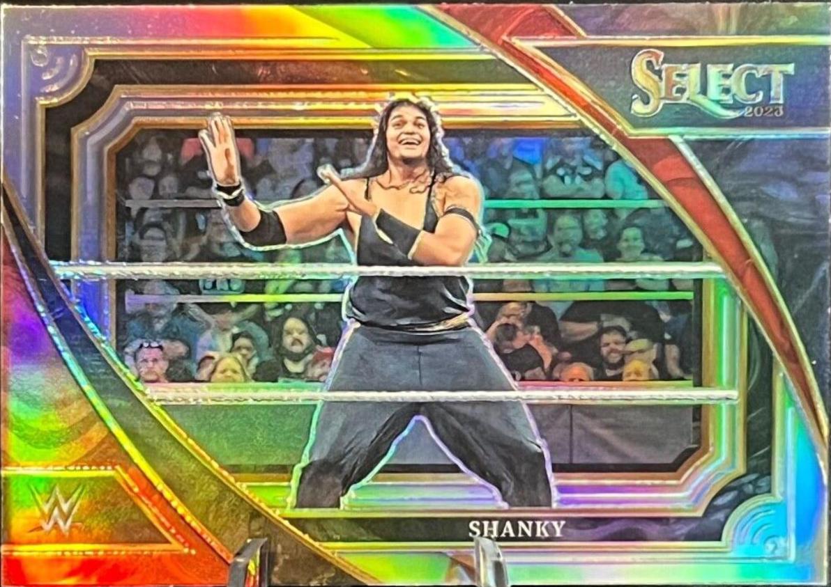 Shanky [Silver] #366