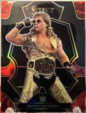 Shawn Michaels [Black Blue] #102