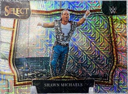 Shawn Michaels [Mojo] #234