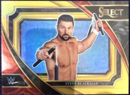 Steve Blackman [Gold] #303