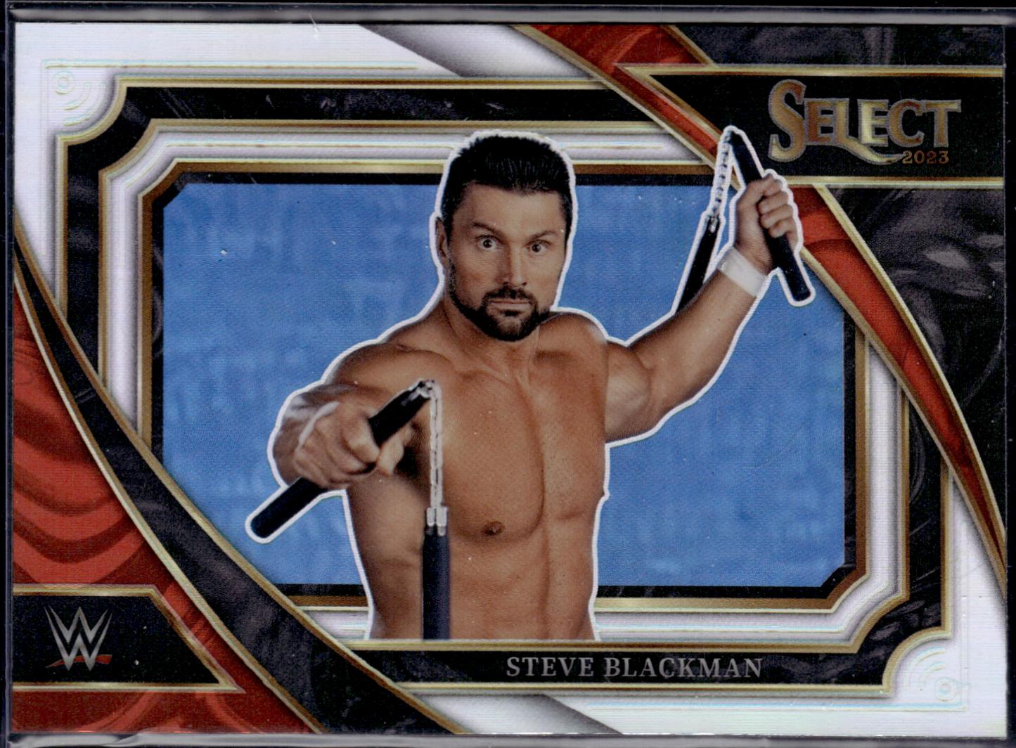 Steve Blackman [Silver] #303