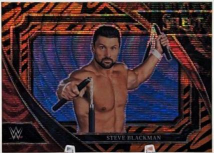 Steve Blackman [Tiger] #303