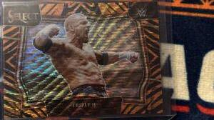 Triple H [Tiger] #294