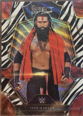 Veer [Zebra] #107