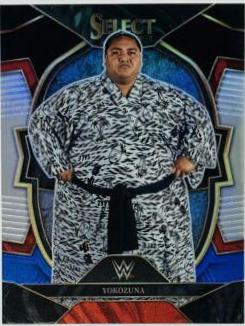 Yokozuna [Black Blue] #91