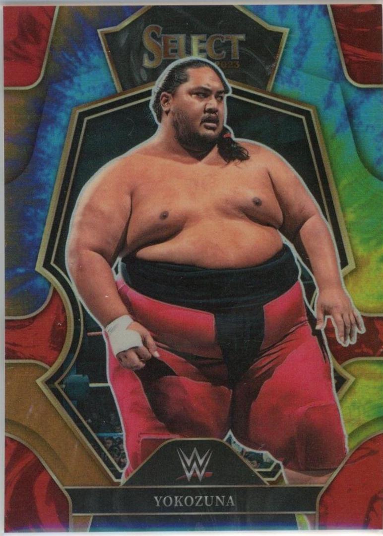 Yokozuna [Tie-Dye] #162