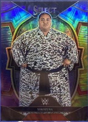 Yokozuna [Tie-Dye] #91