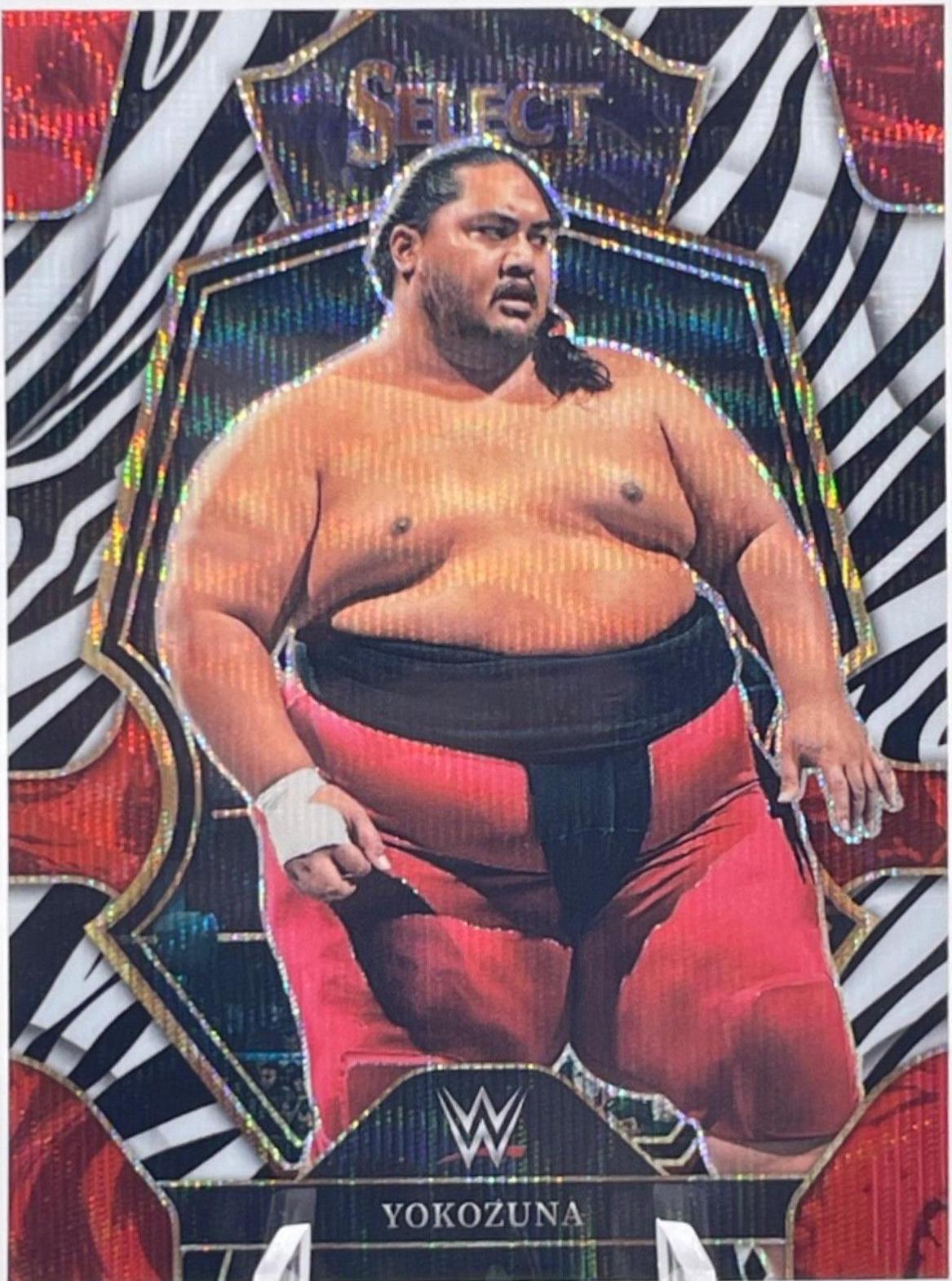 Yokozuna [Zebra] #162
