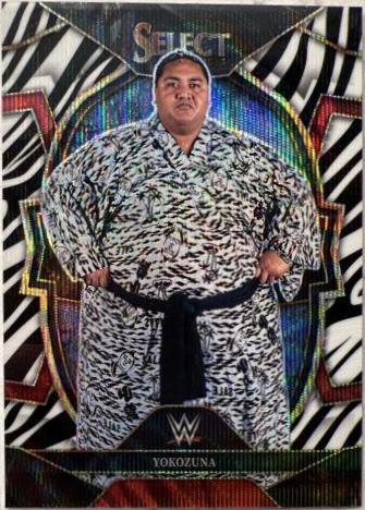 Yokozuna [Zebra] #91