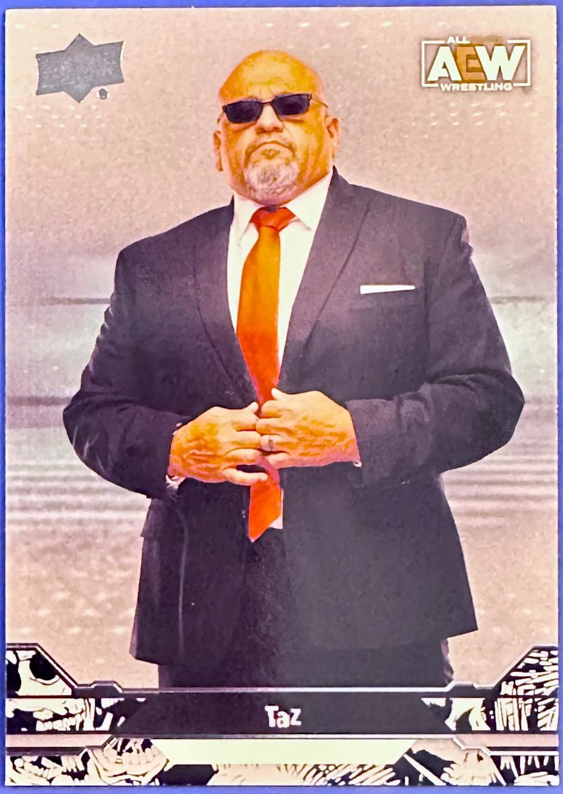 Taz #85