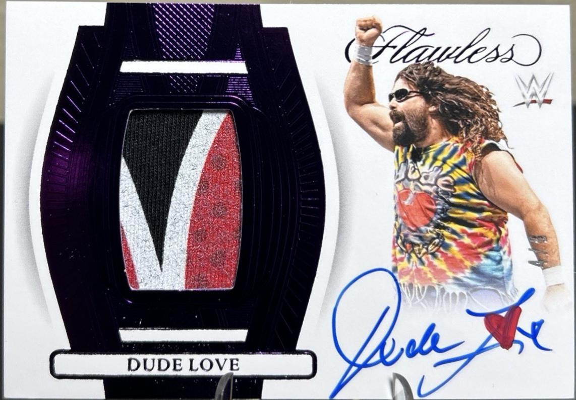 Dude Love [Amethyst] #14