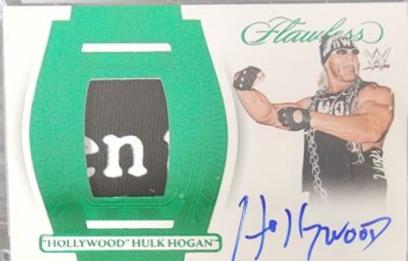 Hollywood Hulk Hogan [Emerald] #8