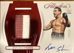 Ken Shamrock [Ruby] #36